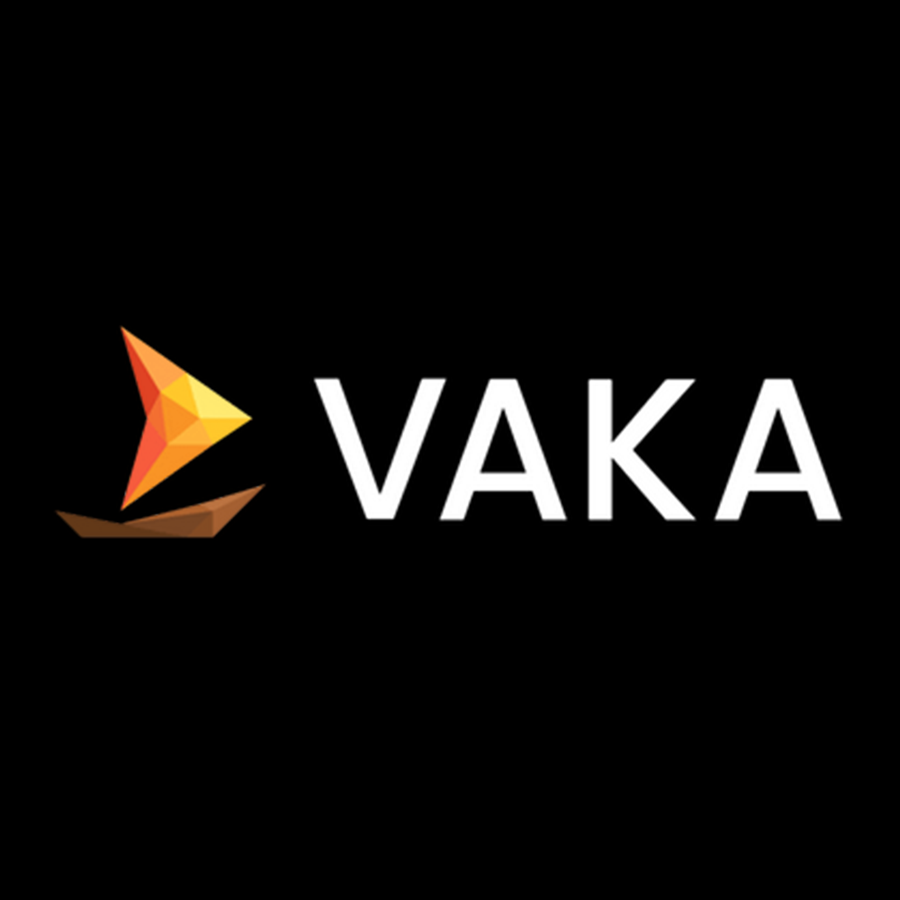 VAKA Interactive logo